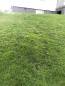 Preview: KIT hybride gras kit 2x10 (20m2) mètres pour Husqvarna Automower® - Kopie