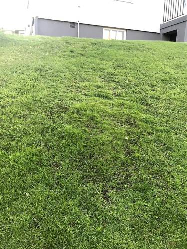 KIT hybride gras kit 2x10 (20m2) mètres pour Husqvarna Automower® - Kopie