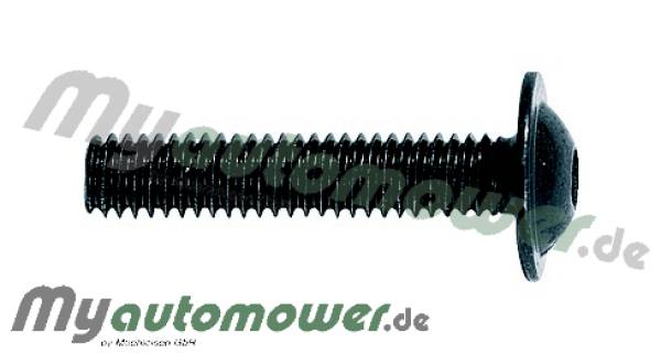 Screw Long SW 40mm