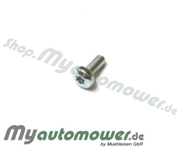 Screw M4x12 T20 Silber 1pieces