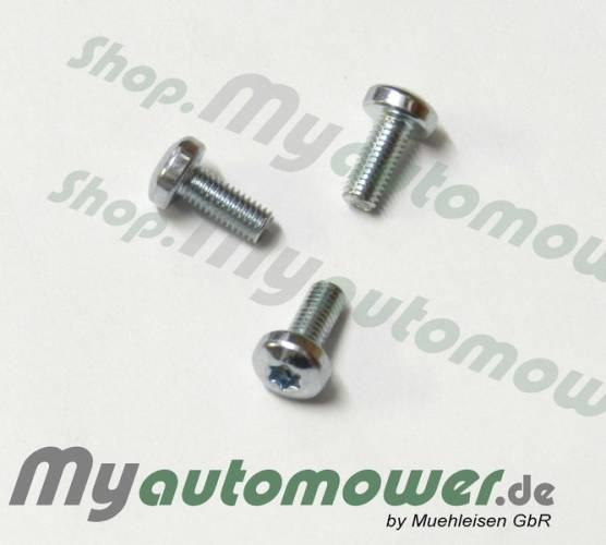 Screw M4x12 T20 Silber 1pieces