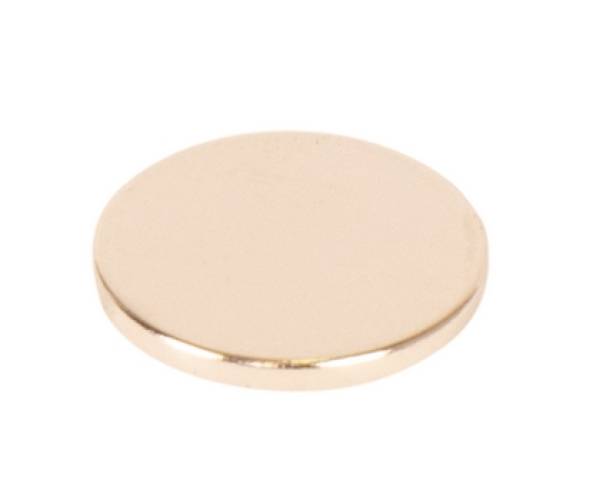 Magnet D20x2