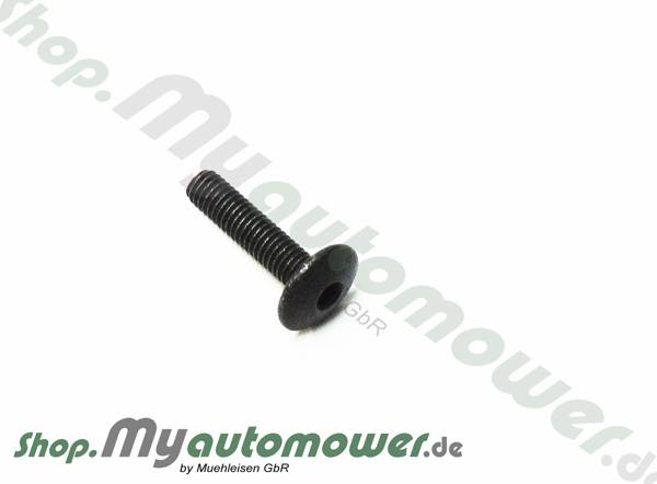 Screw SW 25mm 260265ACX