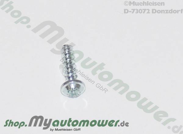 Screw mini