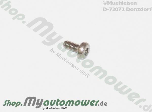 Screw Torx mini