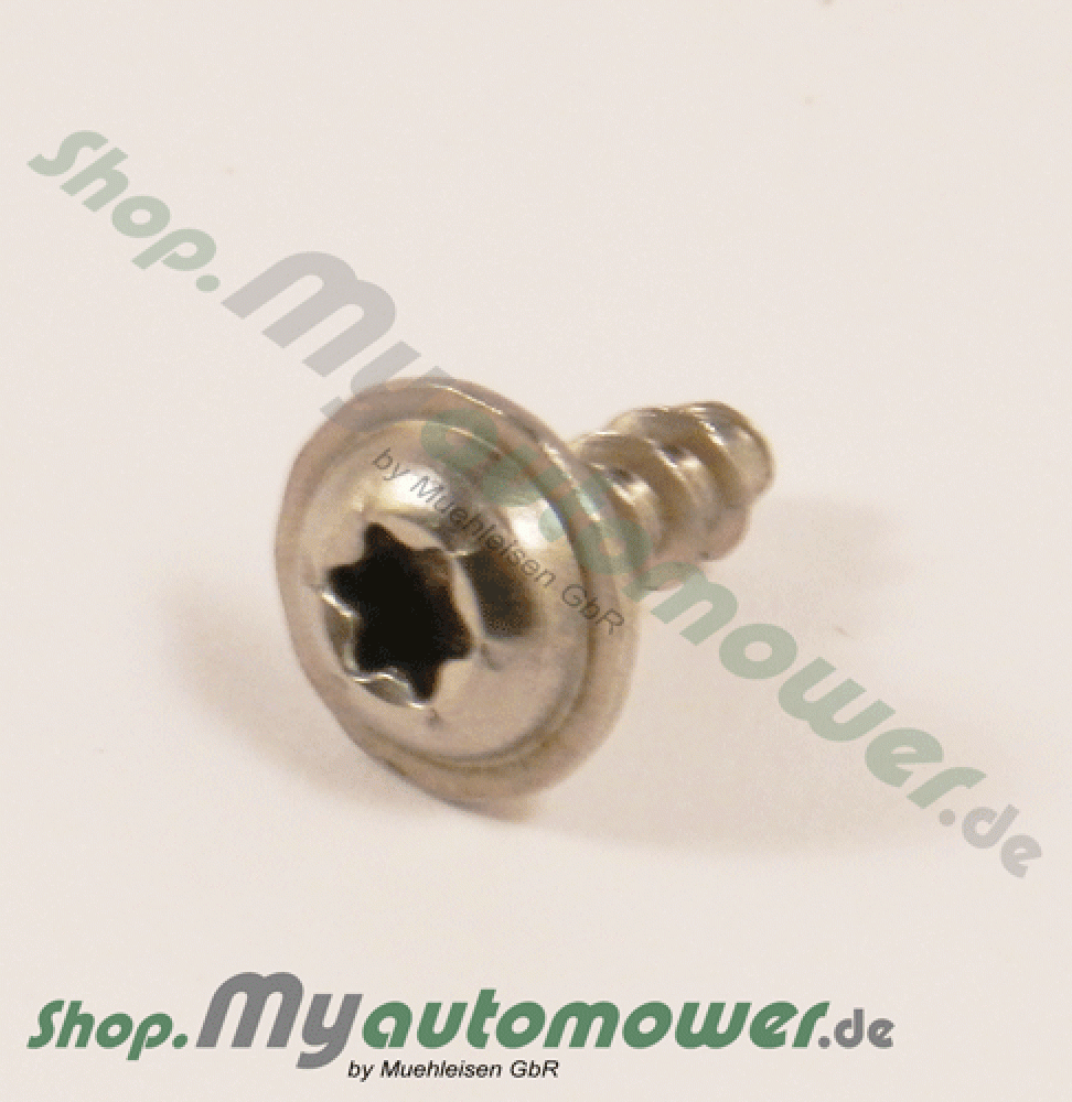 Schraube 10mm Silber G2 G3