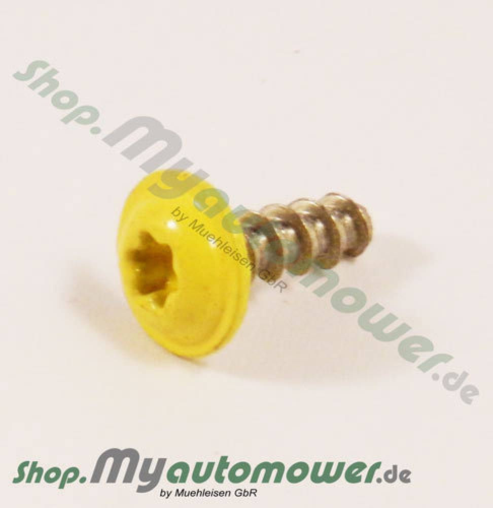 Schraube AM 12mm 575 54 33-12