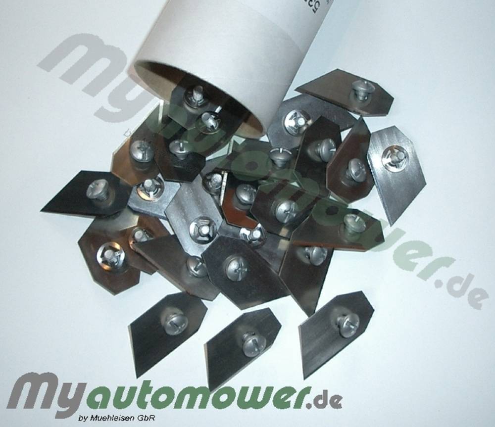 Blades 30 pieces. Eine Schneide AM G1