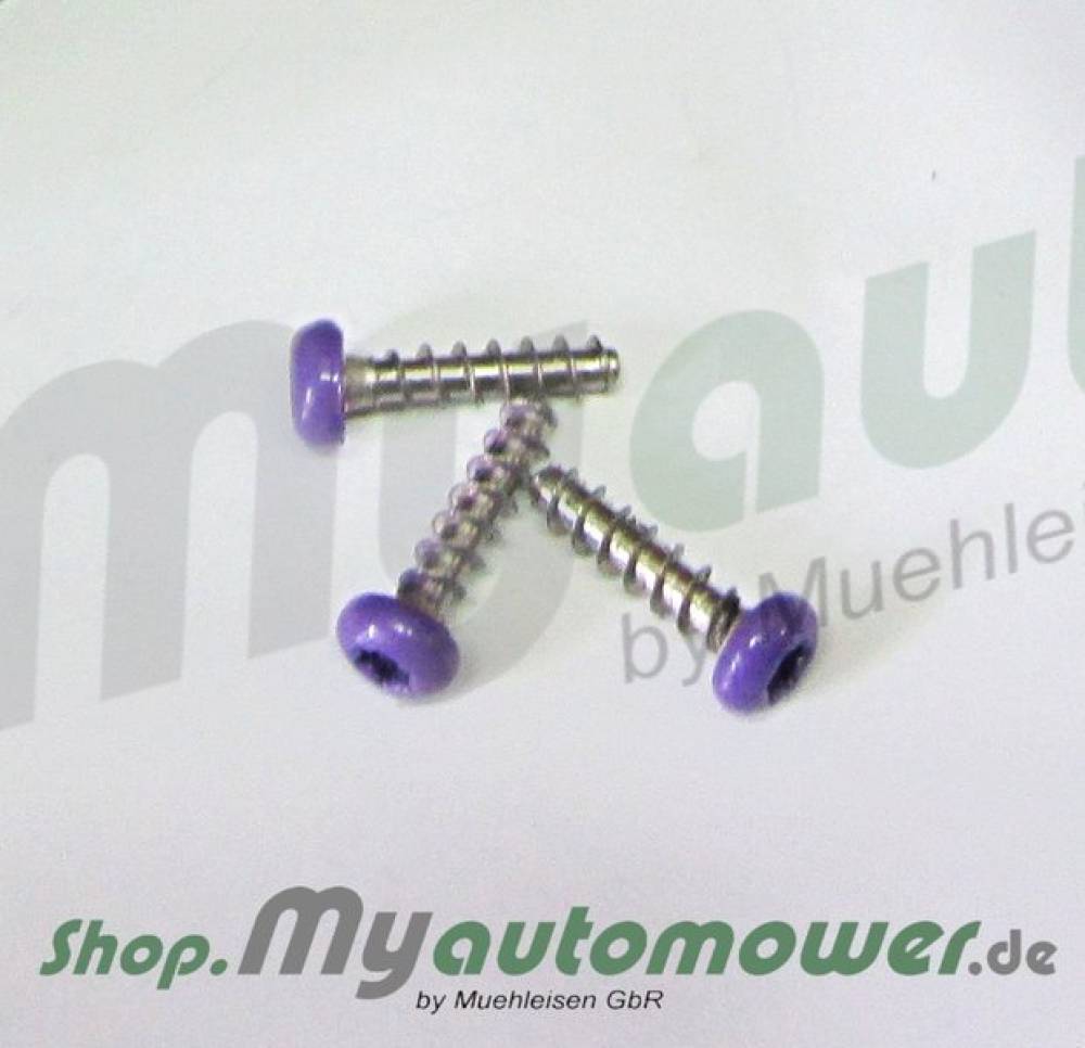 Screw 1 piece  AM
