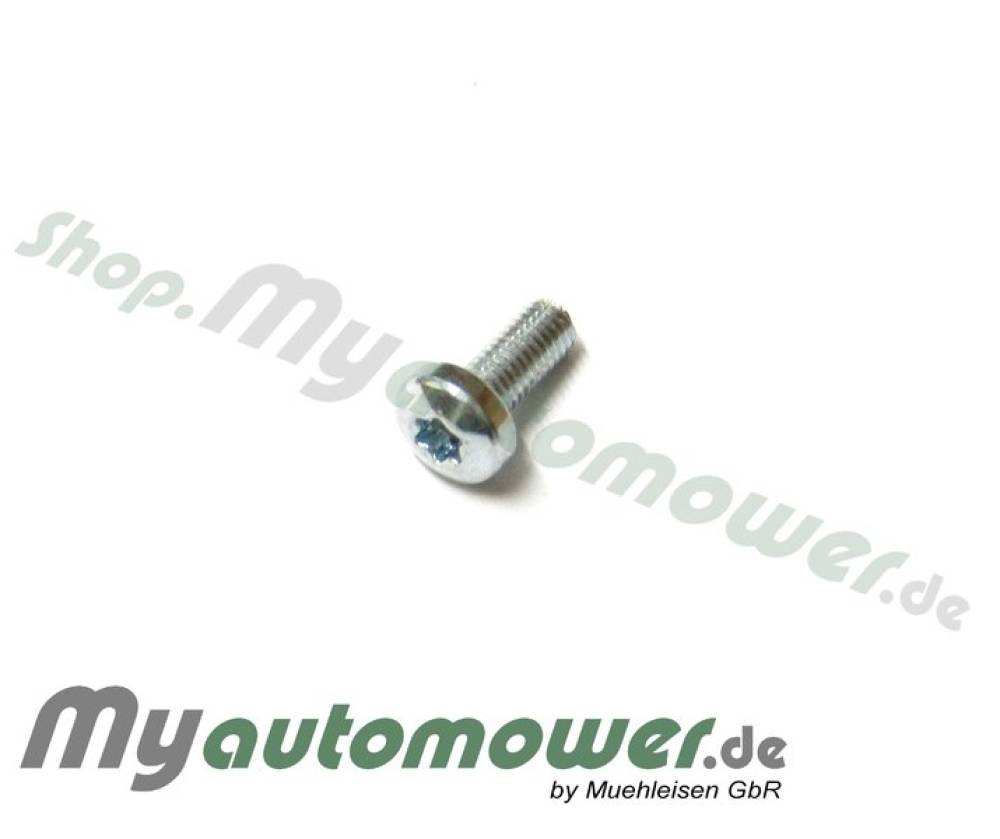 Screw M4x12 T20 Silber 1pieces