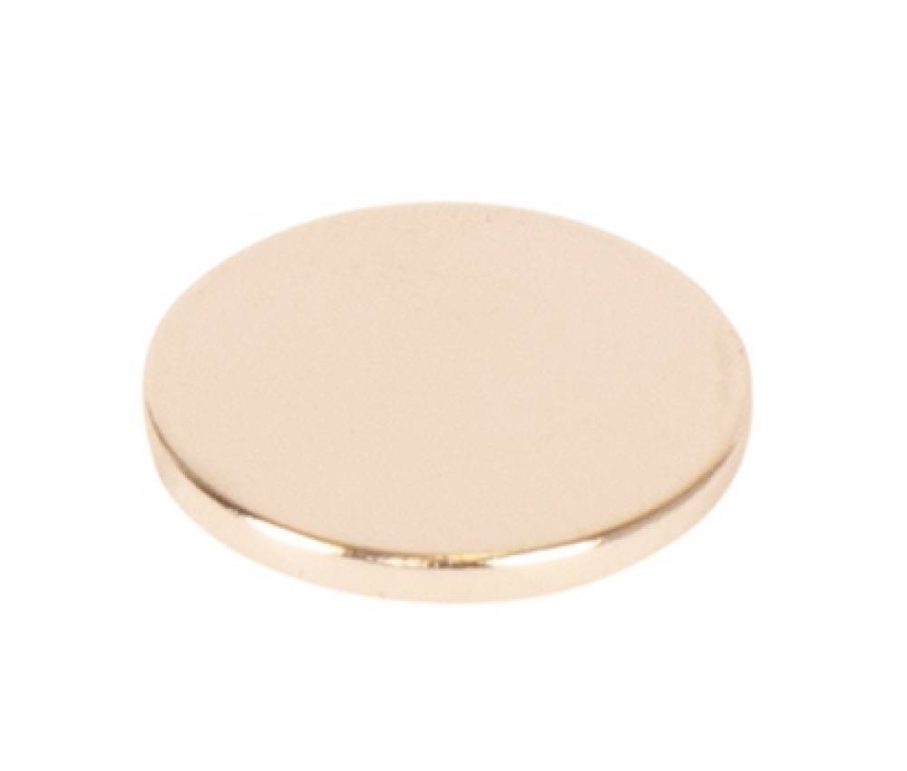 Magnet D20x2