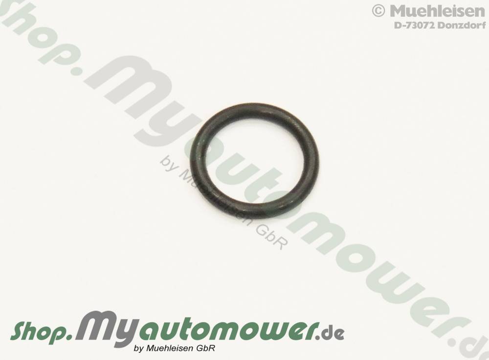 O Ring G3   VA