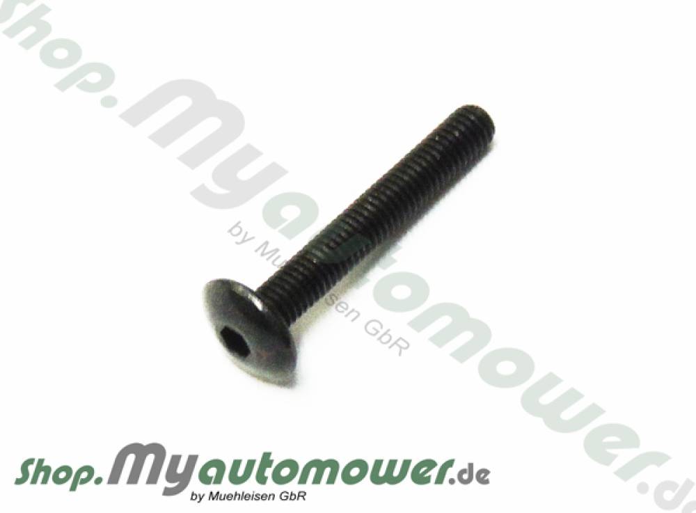 Screw Long SW 42mm  05