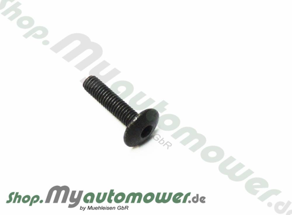 Screw SW 25mm 260265ACX