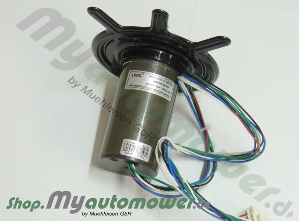 Cutting Motor G3 P2 320,330X