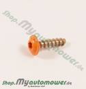 Screw 16mm 5755433 16