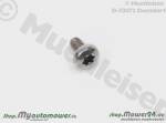 Screw / Screw,Grey (14mm) 575529502